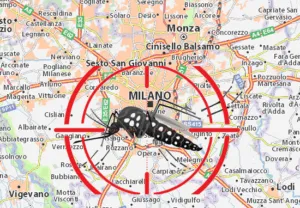 Scopri di più sull'articolo Disinfestazione Zanzare Milano: Perché Scegliere un Intervento Professionale?