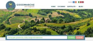 Scopri di più sull'articolo Turisti per tutti i gusti a Jesi